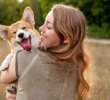 corgi dog yawning over womans shoulder